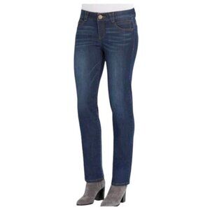 DEMOCRACY AB Technology Midrise Blue Jeans Size 6